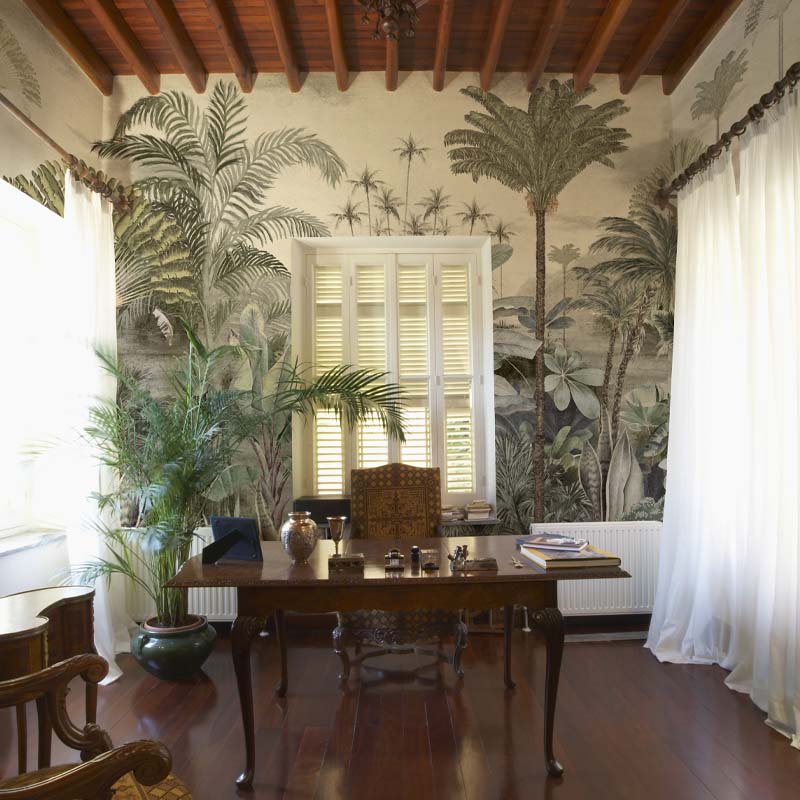 Tapet-Cythera-office