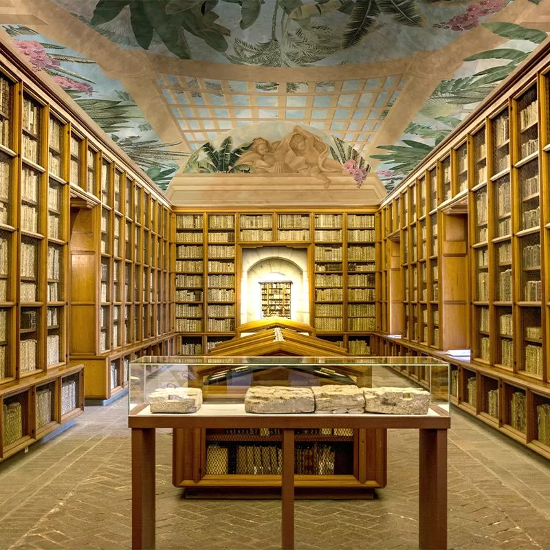 Tapet-Skyfall-Reverie-biblioteca-vladila