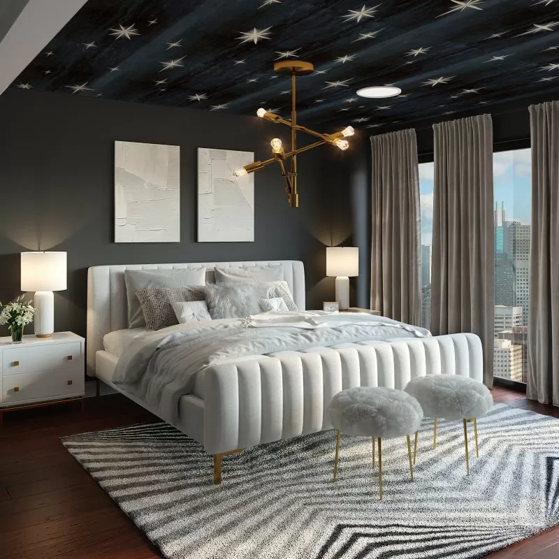 tapet-tavan-personalizat-stars-black-vladila